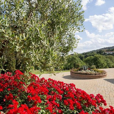 Poggio Pellicciaia Villa Arezzo Ngoại thất bức ảnh
